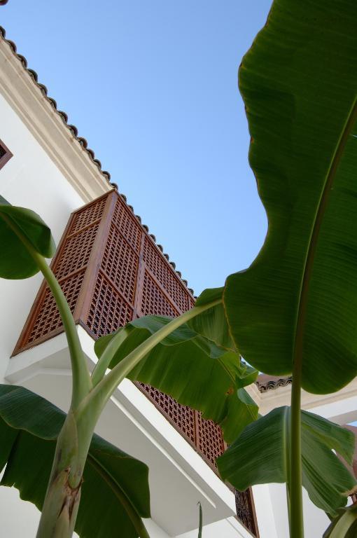 Riad Up Marrakesh Buitenkant foto
